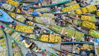 Floating Market